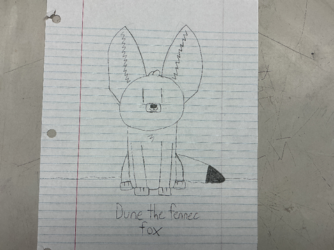 Dune the fennec fox!
