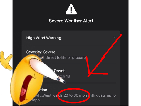 ITS RAINING SIDEWAYS