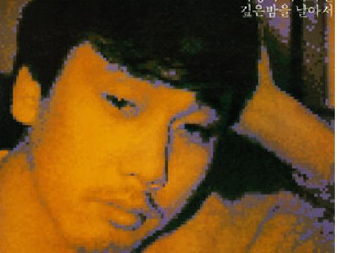 Flying, deep in the night - Lee Moon Sae