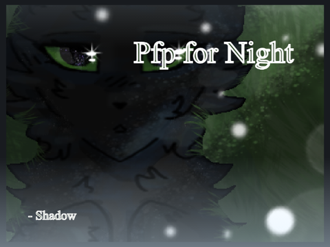 PFP - Night