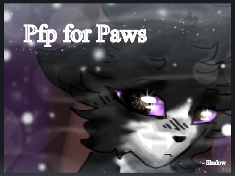 Pfp - Paws
