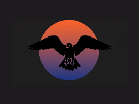 intro? (team falcon)