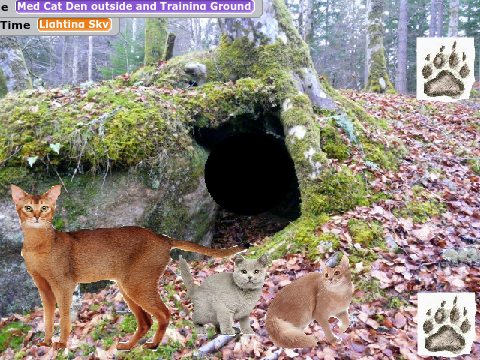 Warrior Cats- Kit to Elder W.I.P BETA