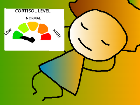 LOW CORTISOL