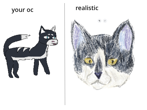 // Your Animal OCS According To Science // remix remix