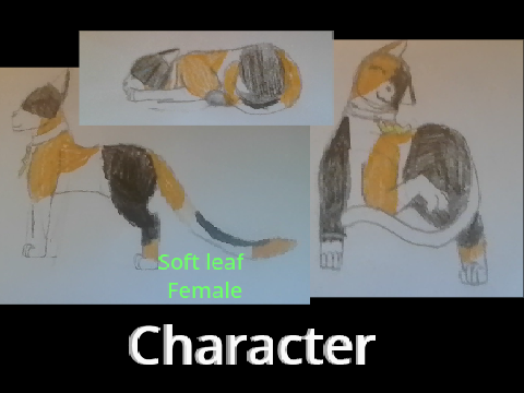 More future characters!