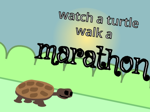 watch a turtle walk a marathon