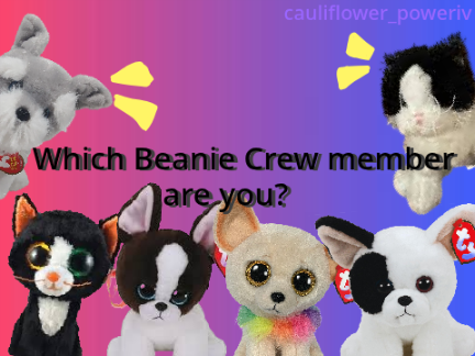 beanie crew quiz!!