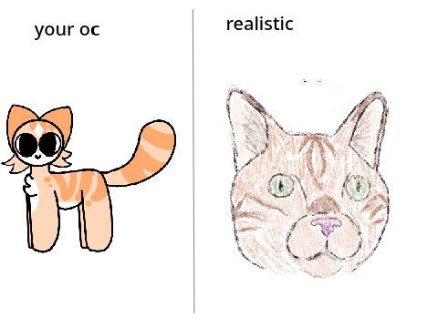 Hehe realistic