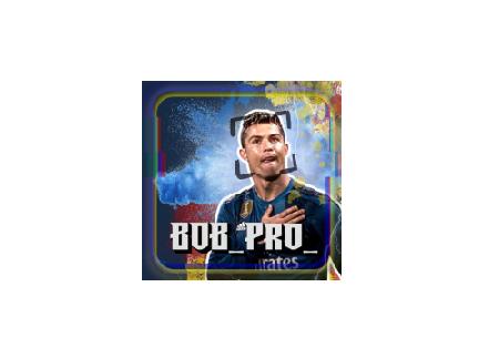 PFP for Bob_Pro_