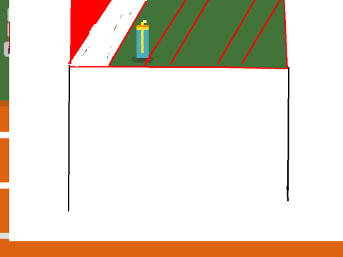 olympic runner