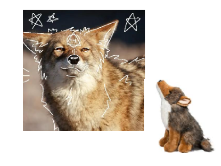 I am a: Coyote therian