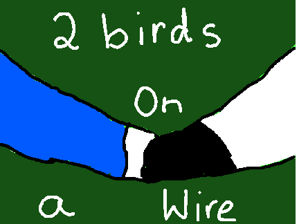 ~ 2 Birds on a wire ~
