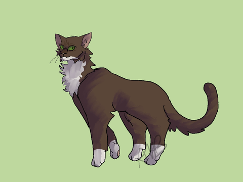 Drawing practice