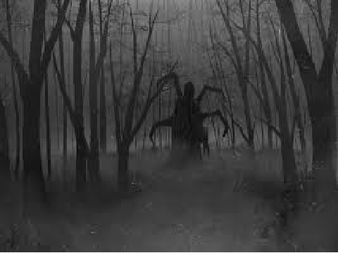 Shadows Arise