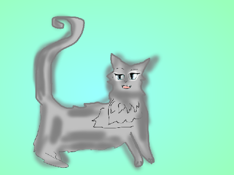CAT CC OPEN entry 2 (final entry)