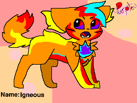 Sakimi Cats Entry Form- Igneous