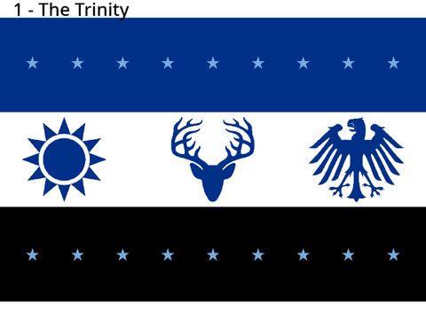 Flag Contest 