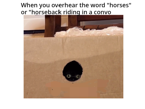 More horse memes!!
