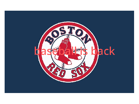 Lets go Red sox