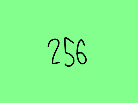 256
