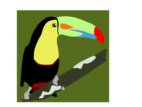 Toucan