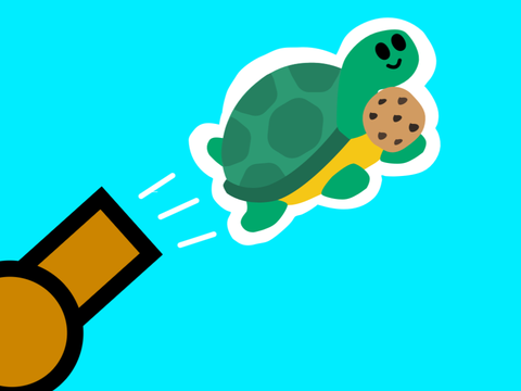 Flying Turtle