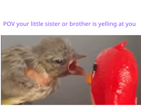 Very accurate 