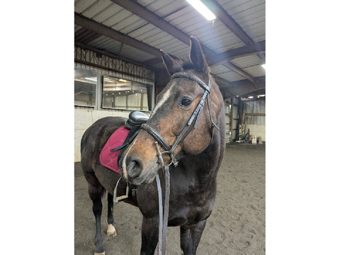 An Update on Leia!