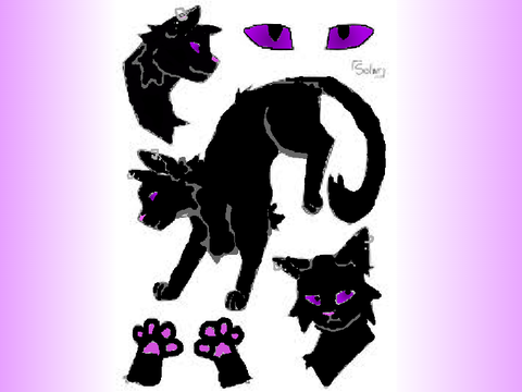 OC DREAMPAW ( Free to use just ask )