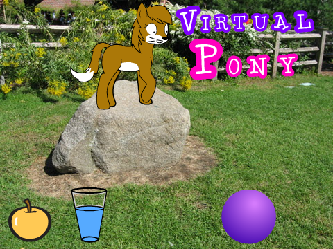 Pony Virtual Pet!