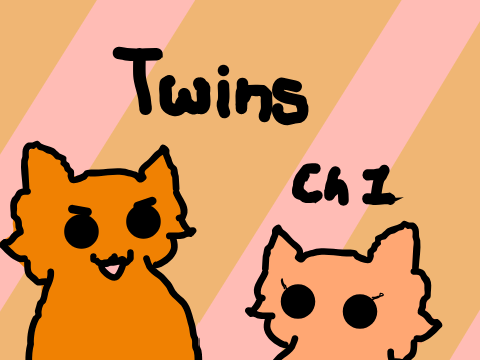 Ch 1 ~ Twins