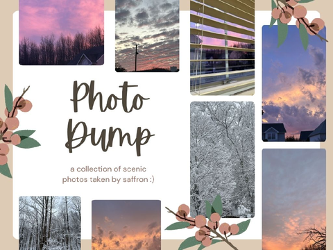 ೀ photo dump⋆˚࿔