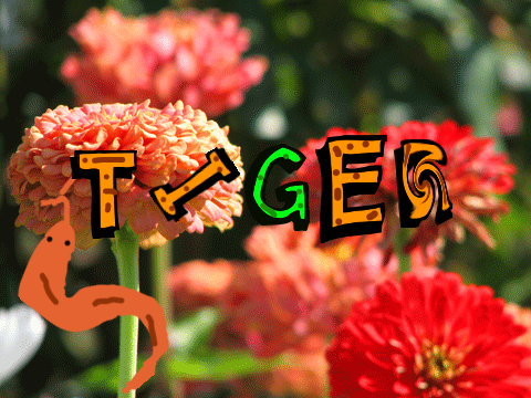tiger name stem