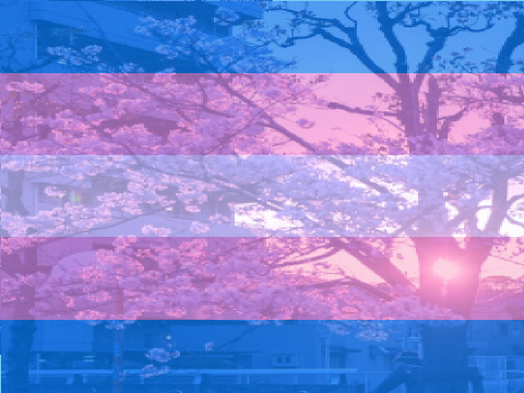 ♀ T r ☿ n s ♂