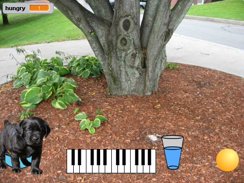 your puppy
