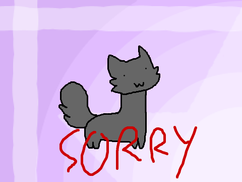 Sorry