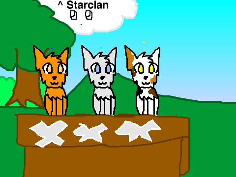 Warrior cats GOT TALENT! :D [UNFINISHED]