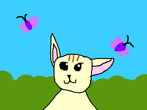 MintKit Drawing