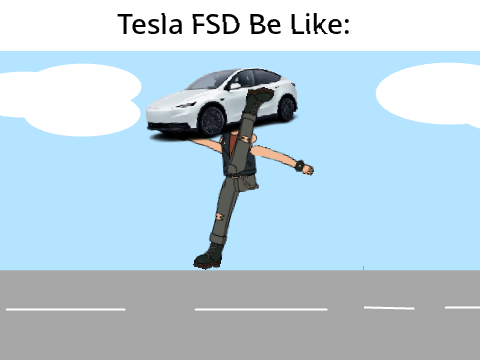 Tesla FSD Be Like:
