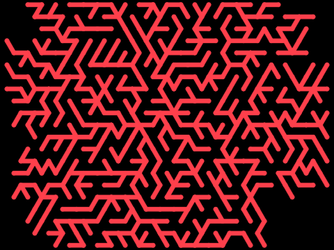 Hex mycelium 