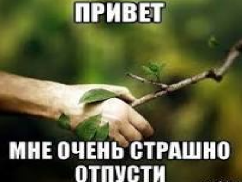 Чта? 12
