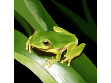 Frog Rendering