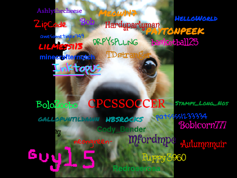 Sign if you LOVE dogs!