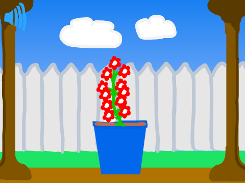 ~Little Plant~