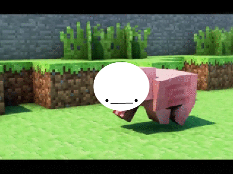 My Face on a Pig
