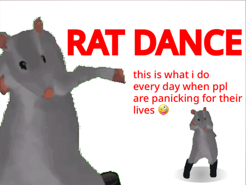 RAT DANCE!!