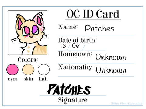 Patches