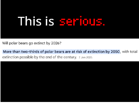 ❄️ whats up with the polar bears ❄️ 