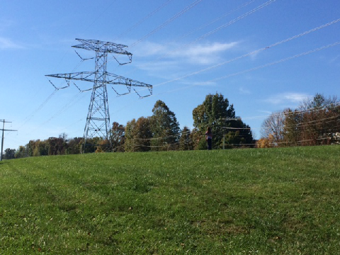 Some nature thing idk :/
